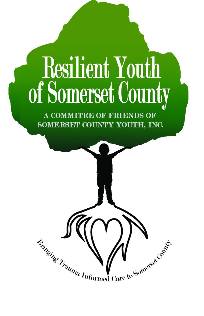 Resilient Youth of Somerset Childrens Hope Initiative